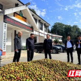 湖南建投集团一行赴慈利县、石门县调研指导乡村振兴工作