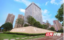 从“盐改第一股”到跨界战新产业 湖南盐业如何打造第二增长曲线？