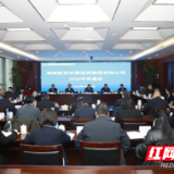 湖南医药发展投资集团召开2026年工作务虚会