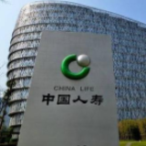 中国人寿柜面服务的那些人和事
