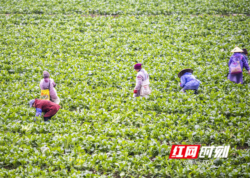 _DSC9750.jpg _DSC9750.jpg