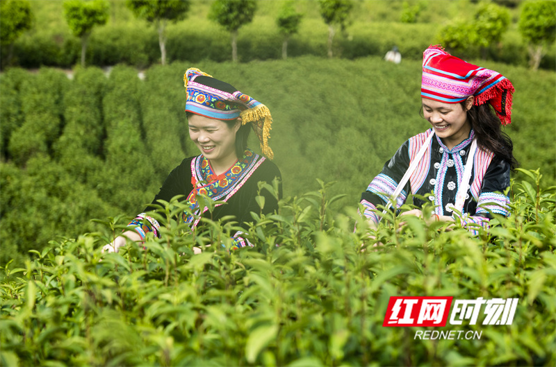 DSC_6477.jpg DSC_6477.jpg