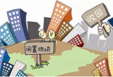 唐志雄率队视察蓝山县园区企业闲置土地清理情况