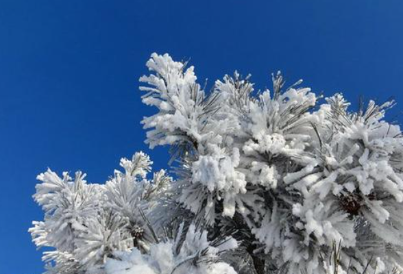 魏和胜检查低温雨雪冰冻等灾害天气应对工作落实情况