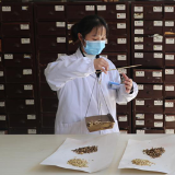 江华：借力互联网 实现中医药服务全覆盖