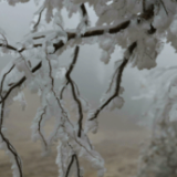 道县：瑶山冬雪如画美（组图）