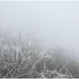 江华：西边大岭迎来今冬首场雾凇景观