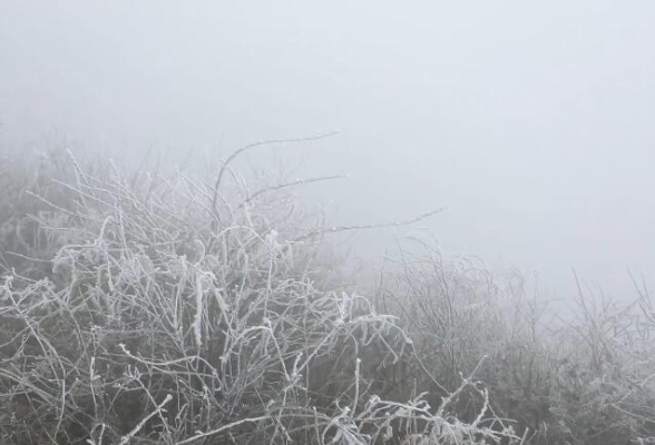 江华：西边大岭迎来今冬首场雾凇景观