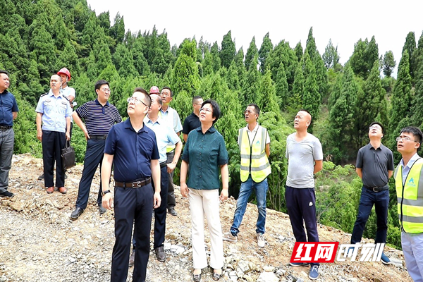 红网时刻7月10日讯(新田融媒记者 黄新)7月9日,新田县委书记唐军深入