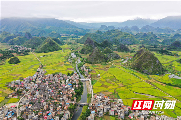 金秋时节，湖南永州市道县境内28万亩晚稻成熟，田野一片金黄。从空中俯瞰，广袤田园宛如金色地毯，与远处的山峦、错落有致的村庄和蜿蜒的河流相映成趣，构成一幅壮丽的田园秋色画卷。