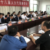 新田县第十八届人大代表座谈会在骥村镇召开