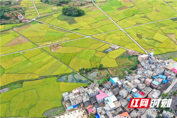 道县清塘镇洪家宅村。