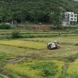 江华：晚稻丰收 秸秆粉碎还田 环保又肥田