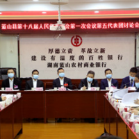县市区两会丨蓝山：龙向洋参加县人大第五代表团讨论