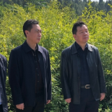 省交警总队领导来新田开展乡村振兴调研