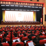 县市区两会丨东安县十八届人大一次会议召开第二次全体会议