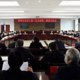县市区两会丨东安：唐何参加县政协十届一次会议联组讨论