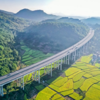湖南蓝山：金秋田园美（组图）