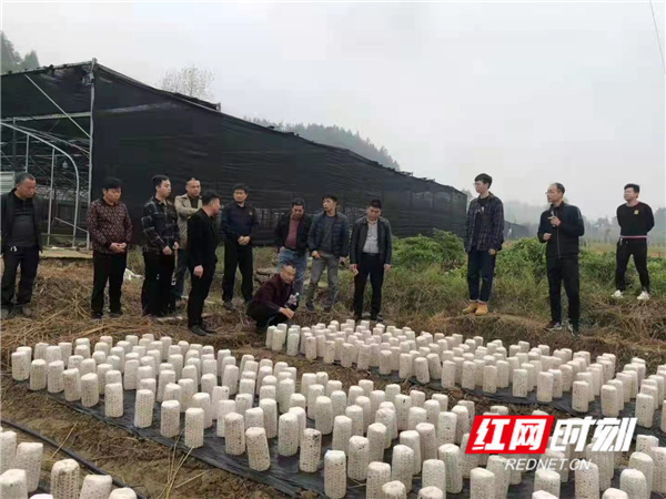 微信图片_20211101095335.jpg