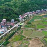 湖南新田：产业兴 乡村美（组图）