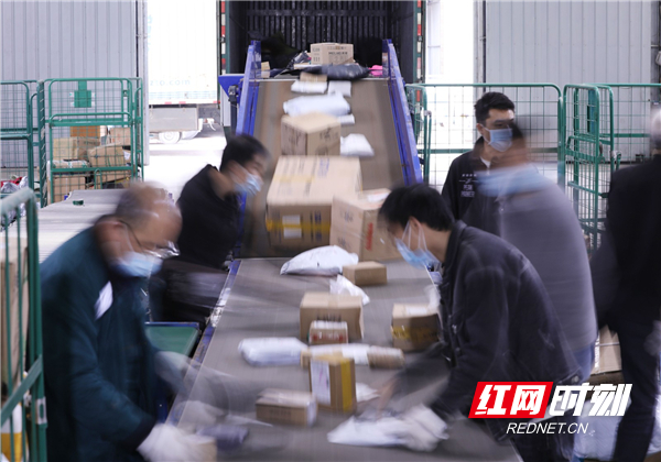 工作人员在分拣快递。