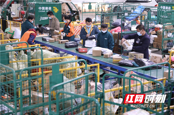 工作人员在分拣快递。