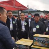 2021年江永县香柚节暨网红带货直播大赛开幕