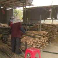 祁阳七里桥镇:“做活”楠竹加工 “靠山吃竹”致富