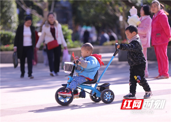 12月1日，改造过后的道县财政联合小区，老人带着小孩在健身器材上玩。