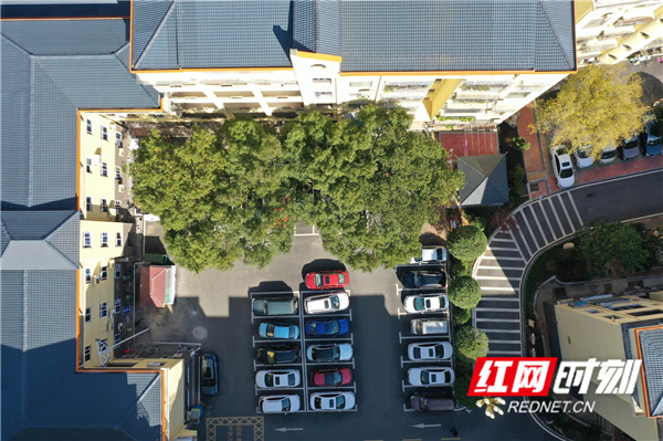 12月1日，改造过后的道县财政联合小区，增设了停车位并对外开放。