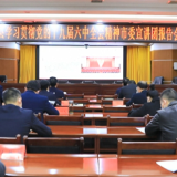 学习贯彻党的十九届六中全会精神市委宣讲团在东安开展集中宣讲