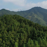 江华余锦柱：41年孤峰瞭望 只为守护一方漫漫青山