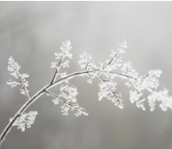 湖南新田：九峰山冰雪世界醉游人（组图）