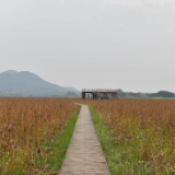 湖南蓝山：春意盎然乡村美（图）
