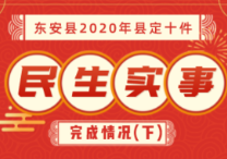 东安县2020年县定十件民生实事完成情况（下）