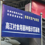 祁阳潘市镇高江村:小蘑菇撑起“致富伞”