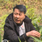 全国脱贫攻坚先进个人雷政林：瑶山扶贫的“痴心人”