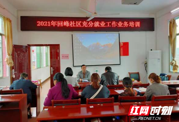 回龙圩：区人社局召开2021年充分就业社区（村）建设业务培训会