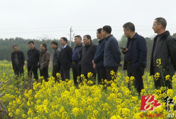 祁阳：陈小平调研十里坪区域污水处理项目建设