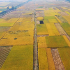  视频丨道县：农业发展提档升级 农民生活提质增收