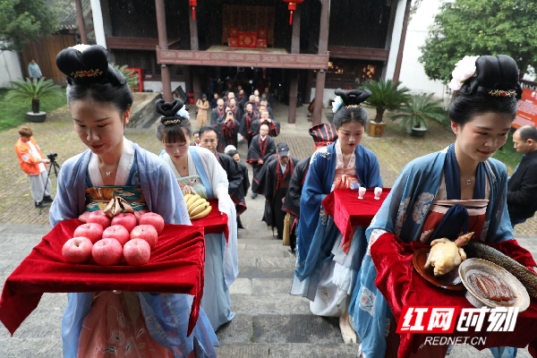 清明祭柳：优秀传统文化世代传