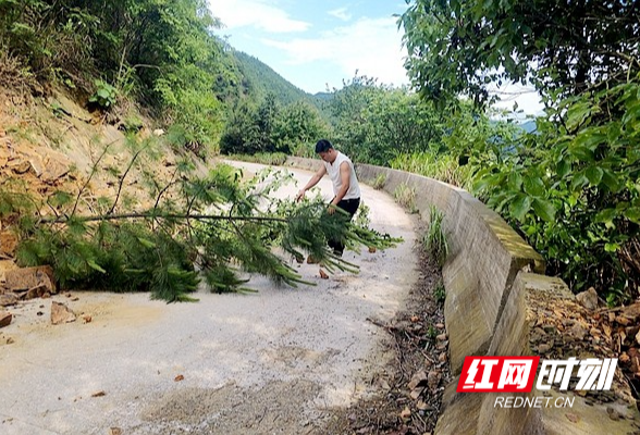 新田：山体滑坡堵路 村警徒手疏通