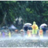 永州丨暴雨持续 水位上涨 水文部门加强监测预报