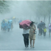关注丨永州境内水文站点水位全线退出警戒线 水位持续回落