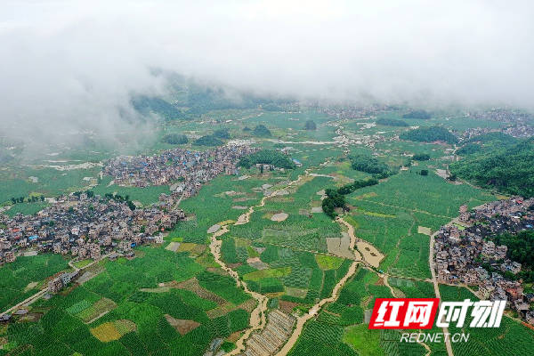 红网时刻5月24日讯（新田融媒记者 蒋军君）5月24日，一场大雨过后，湖南省新田县石羊镇的乡野间显得格外清新，迸发出勃勃生机，天空中宛如仙境的云雾，与村落民居、河流、道路、田野构成一幅美丽的田园画卷，美不胜收。