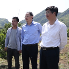 江华： 罗建华调研黄龙病防治工作