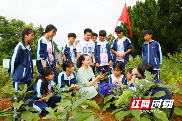 6月21日，湖南省永州市新田县骥村中学劳动实践基地，教师在给学生在讲解茄子的生长知识。