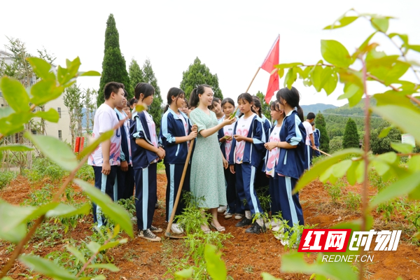 6月21日，湖南省永州市新田县骥村中学劳动实践基地，教师在给学生在讲解辣椒的生长知识。