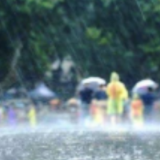 蓝山：暴雨突袭 干群齐心防灾减灾
