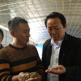 江华:段贵建调研乡村振兴工作